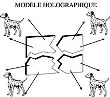 Modèle holographique